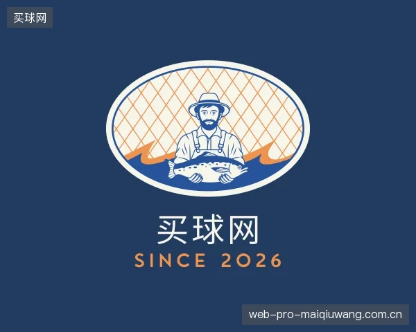 解读买球网公司